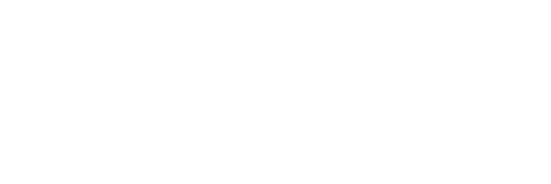 CADFEM